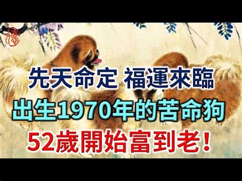 1970屬狗十年運勢|【1970屬狗十年運勢】1970屬狗十年運勢：未來十年你的運勢會。